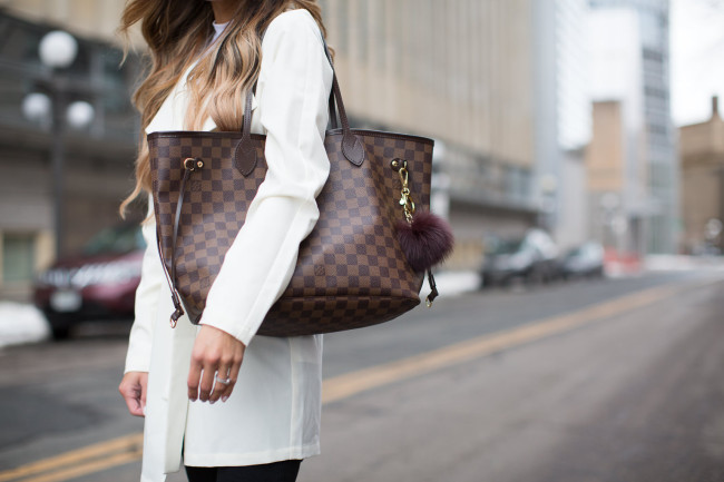 louis vuitton bag
