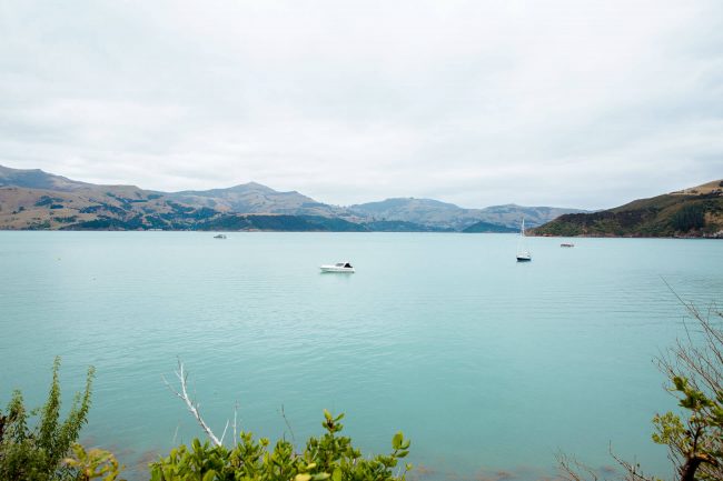 blogger new zealand travel guide