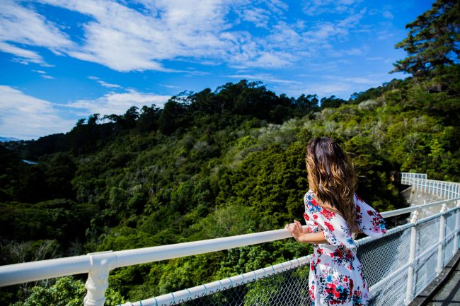 mia mia mine in zealandia in wellington 
