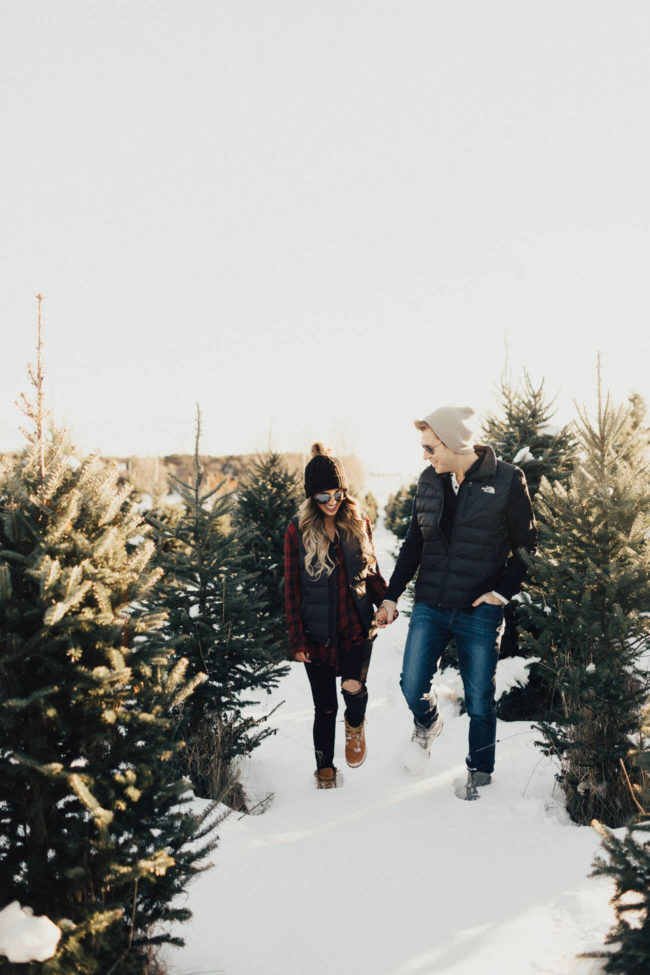 christmas-tree-farm-shoot