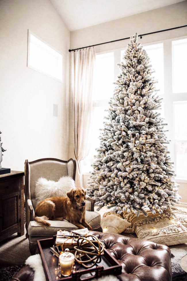fashion blogger mia mia mine's golden retriever luna for christmas