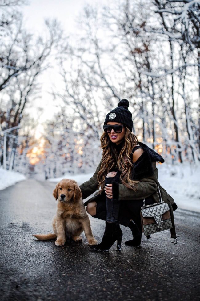 mia mia mine with golden retriever puppy and a gucci dionysus bag