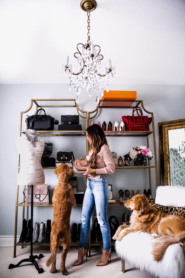 fashion blogger mia mia mine in her closet with golden retrievers