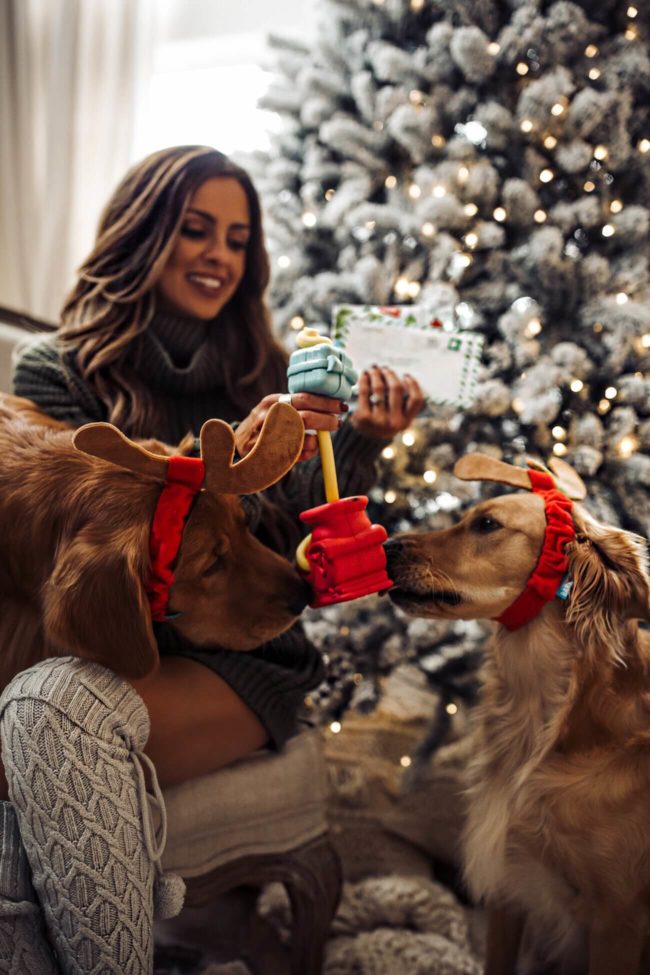 Mia mia mine opening the november super chewer barkbox delivery