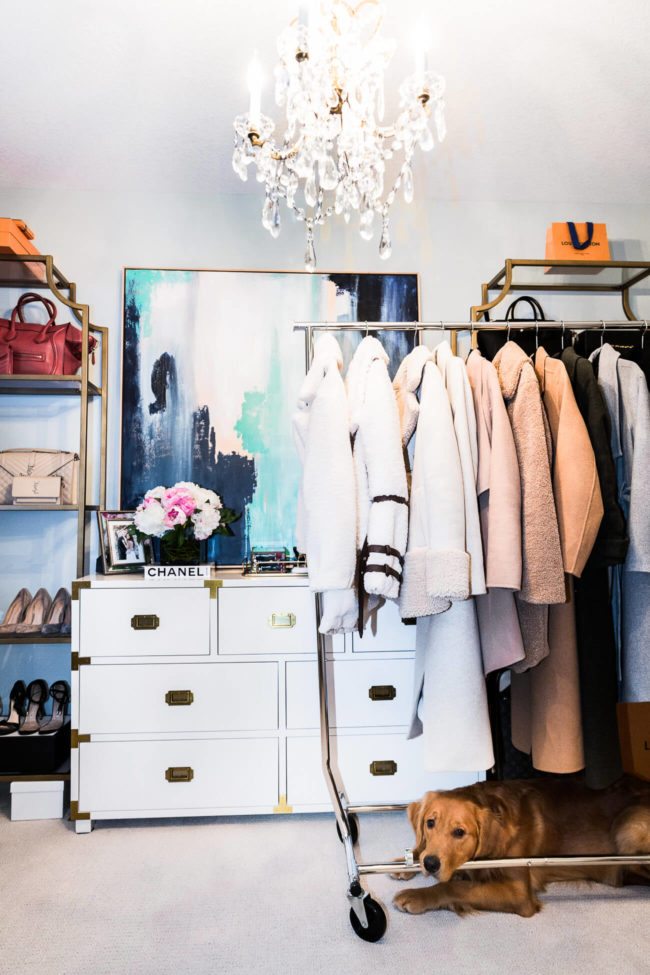 mia mia mine's closet organization from amazon