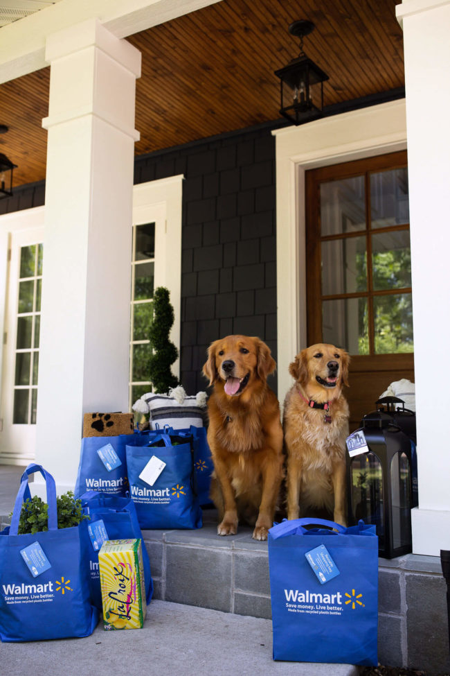 mia mia mine's front door with golden retrievers