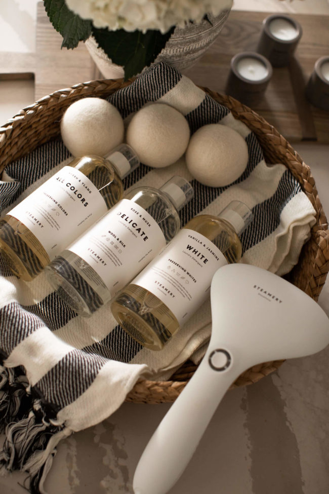 steamery detergents and steamer from the nordstrom anniversary sale 2021