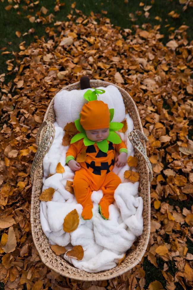 mia mia mine baby wearing a pumpkin costume from walmart