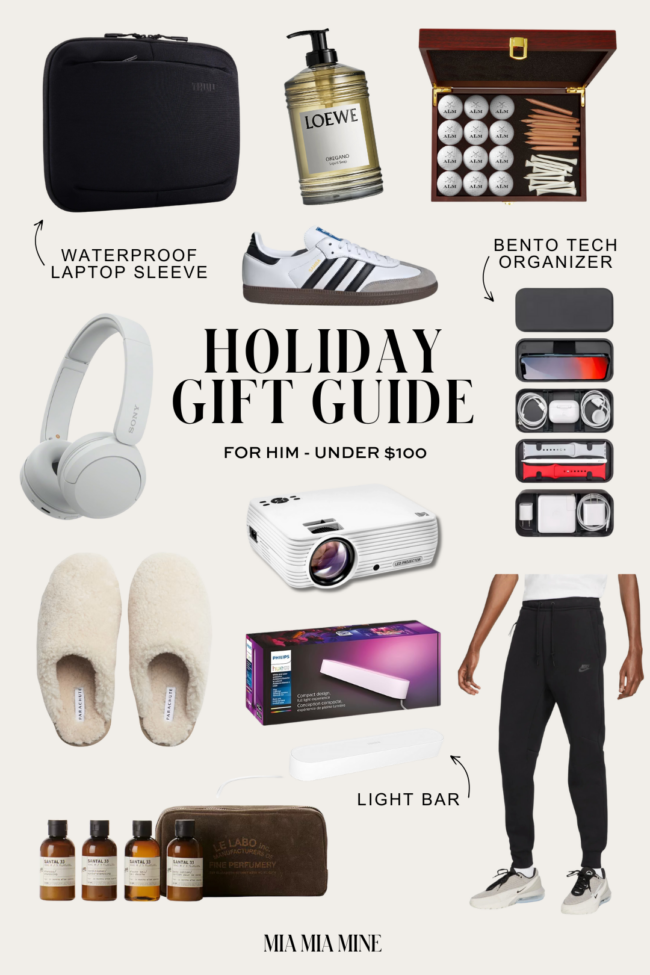 under $100 holiday gifts for him